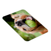 Golden Retriever met Tennis Ball Magneet (Rechterzijde)