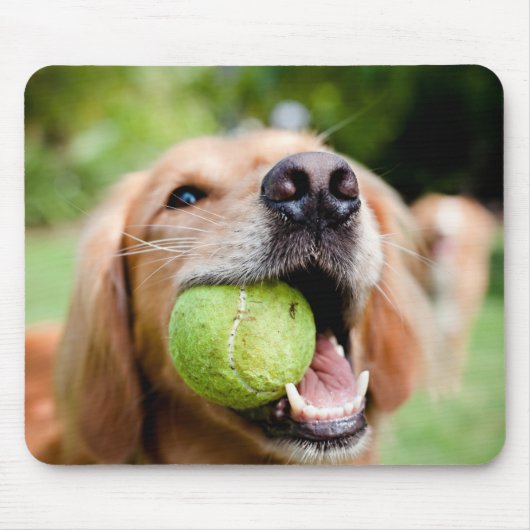 Golden Retriever met Tennis Ball Muismat (Voorkant)