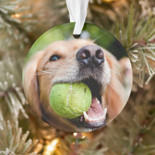 Golden Retriever met Tennis Ball Ornament (Boom)