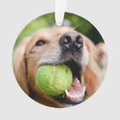 Golden Retriever met Tennis Ball Ornament (voorkant)