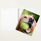 Golden Retriever met Tennis Ball Planner (Display)