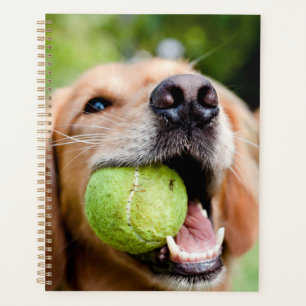 Golden Retriever met Tennis Ball Planner