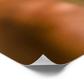 Golden Retriever met Tennis Ball Poster (Hoek)