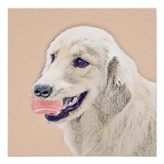 Golden Retriever met Tennis Ball-schilderkunst Perfect Poster (Voorkant)