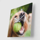 Golden Retriever met Tennis Ball Vierkante Klok (Hoek)