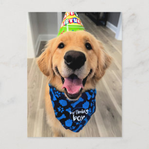 Golden Retriever met verjaardagshoed en halsdoek Briefkaart
