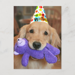 Golden Retriever Met Verjaardagshoed en Speeltje Briefkaart