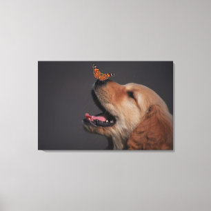 Golden Retriever met vlinder op zijn neus Canvas Afdruk