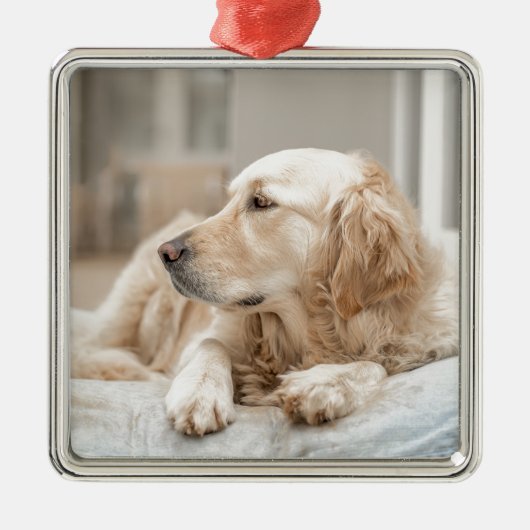 Golden Retriever Metalen Ornament (Voorkant)