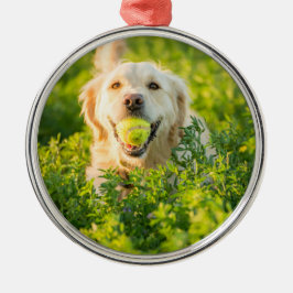 Golden Retriever Metalen Ornament