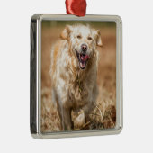 Golden Retriever Metalen Ornament (Rechts)
