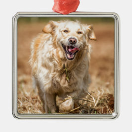 Golden Retriever Metalen Ornament