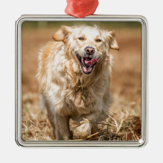 Golden Retriever Metalen Ornament (Voorkant)
