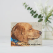 Golden Retriever Miss You Briefkaart (Staand voorkant)