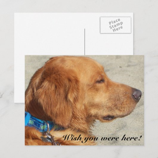 Golden Retriever Miss You Briefkaart (Voorkant / Achterkant)