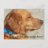 Golden Retriever Miss You Briefkaart (Voorkant)