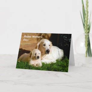 Golden Retriever Moederdag mama en puppy Kaart