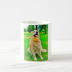 Golden Retriever Mok