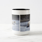 Golden Retriever Mok (Center)