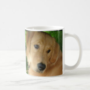 Golden Retriever Mok