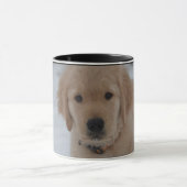 Golden Retriever Mok (Midden)