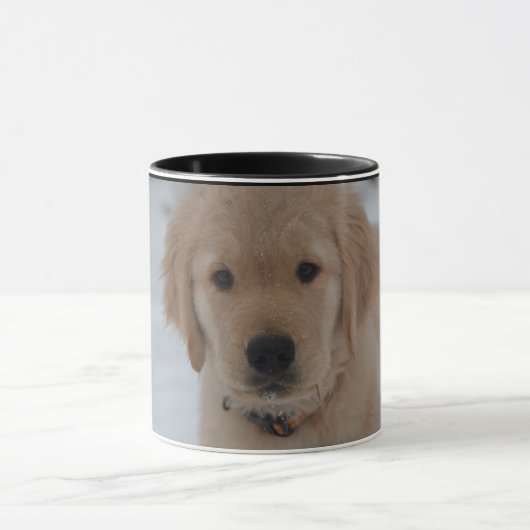 Golden Retriever Mok (Midden)