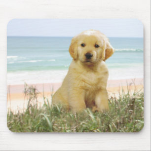 Golden Retriever Mousepad Muismat
