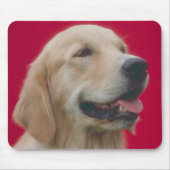 Golden Retriever Muismat (Voorkant)