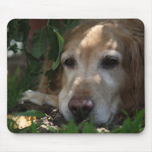 Golden Retriever Muismat (Voorkant)