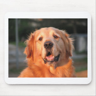 Golden Retriever Muismat