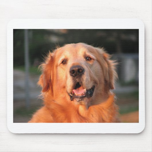 Golden Retriever Muismat (Voorkant)