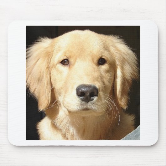Golden Retriever Muismat (Voorkant)