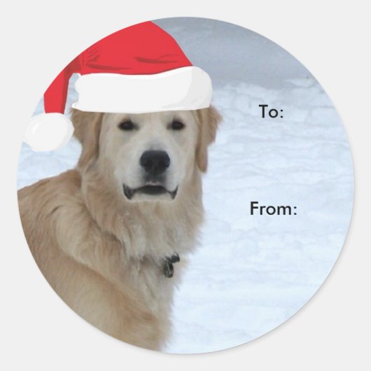 Golden retriever naar/van Kerst stickers (Voorkant)