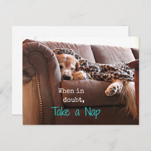 Golden Retriever Neem een nap Briefkaart (Voorkant / Achterkant)