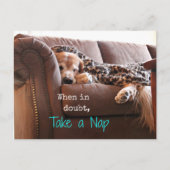 Golden Retriever Neem een nap Briefkaart (Voorkant)
