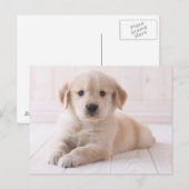 Golden Retriever neerwaarts Briefkaart (Voorkant / Achterkant)