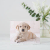 Golden Retriever neerwaarts Briefkaart (Staand voorkant)