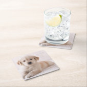 Golden Retriever neerwaarts Kartonnen Onderzetters (Insitu)