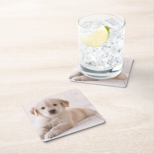 Golden Retriever neerwaarts Kartonnen Onderzetters (Insitu)