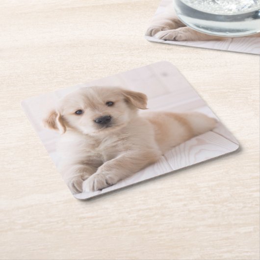 Golden Retriever neerwaarts Kartonnen Onderzetters (Schuin)