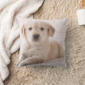 Golden Retriever neerwaarts Kussen (Deken)