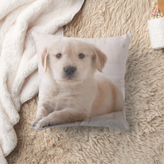 Golden Retriever neerwaarts Kussen (Deken)