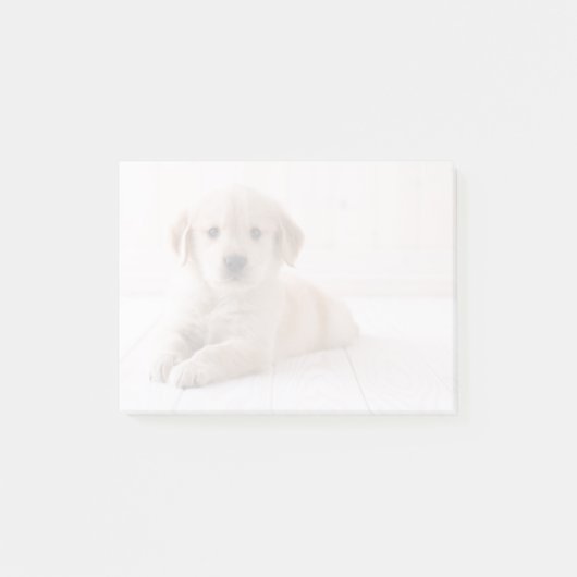 Golden Retriever neerwaarts Post-it® Notes (Voorkant)