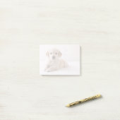 Golden Retriever neerwaarts Post-it® Notes (Op bureau)