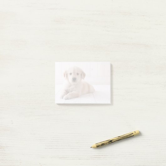 Golden Retriever neerwaarts Post-it® Notes (Op bureau)