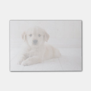 Golden Retriever neerwaarts Post-it® Notes