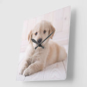 Golden Retriever neerwaarts Vierkante Klok (Hoek)