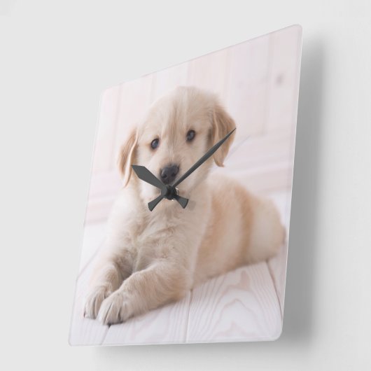 Golden Retriever neerwaarts Vierkante Klok (Hoek)