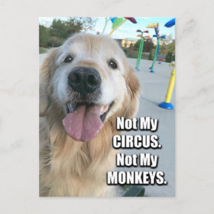 Golden Retriever niet mijn Circus Pools Proverb Briefkaart