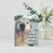Golden Retriever niet mijn Circus Pools Proverb Briefkaart (Staand voorkant)